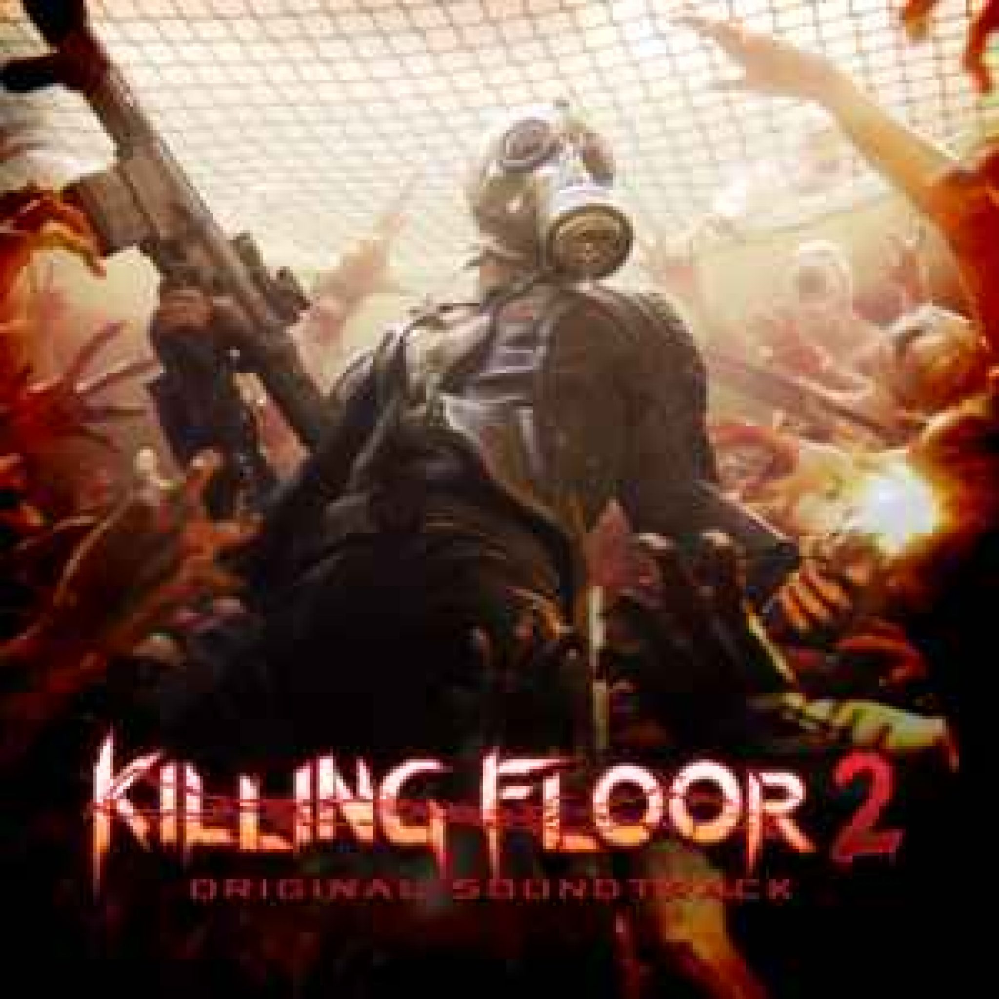 killing floor 2 error opening file