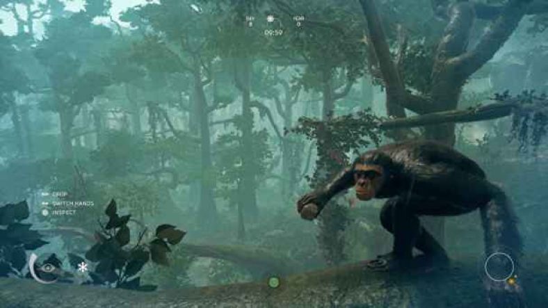 free download ancestors the humankind odyssey ps5
