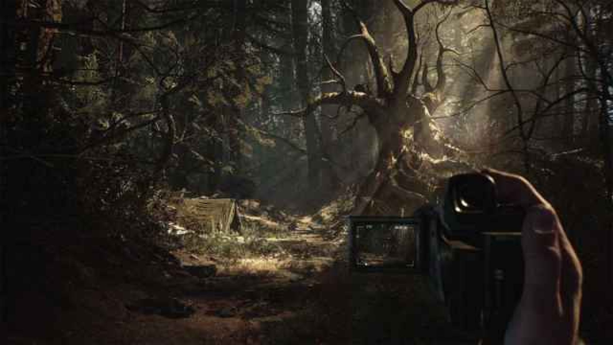 blair witch download