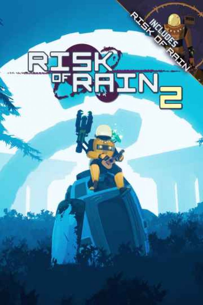 risk of rain 2 multiplayer
