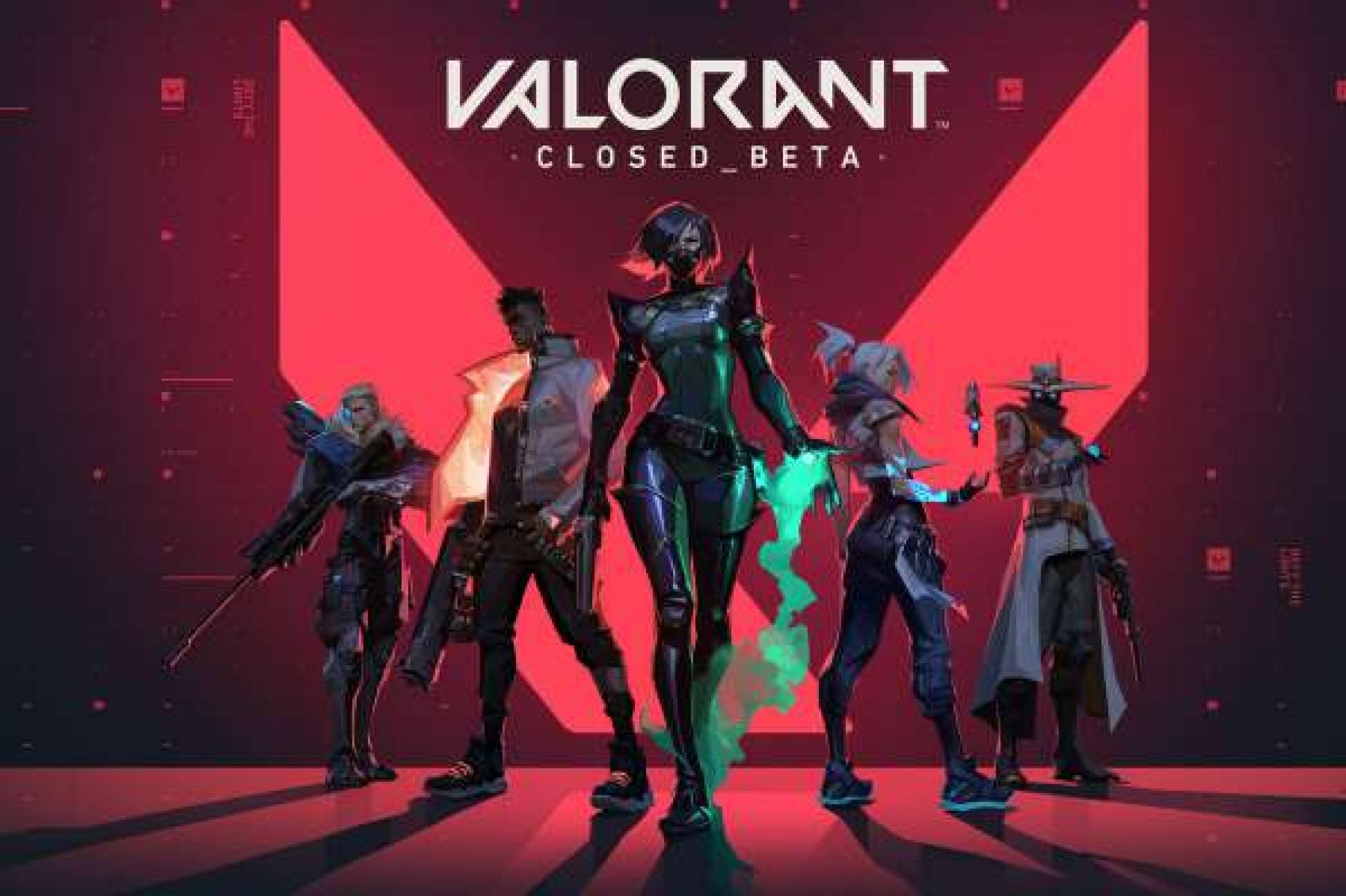 project a valorant download