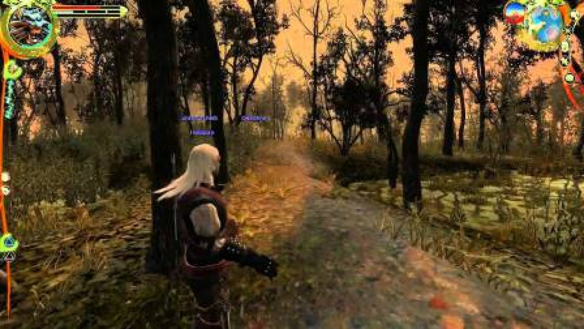 witcher 1 save game mod download