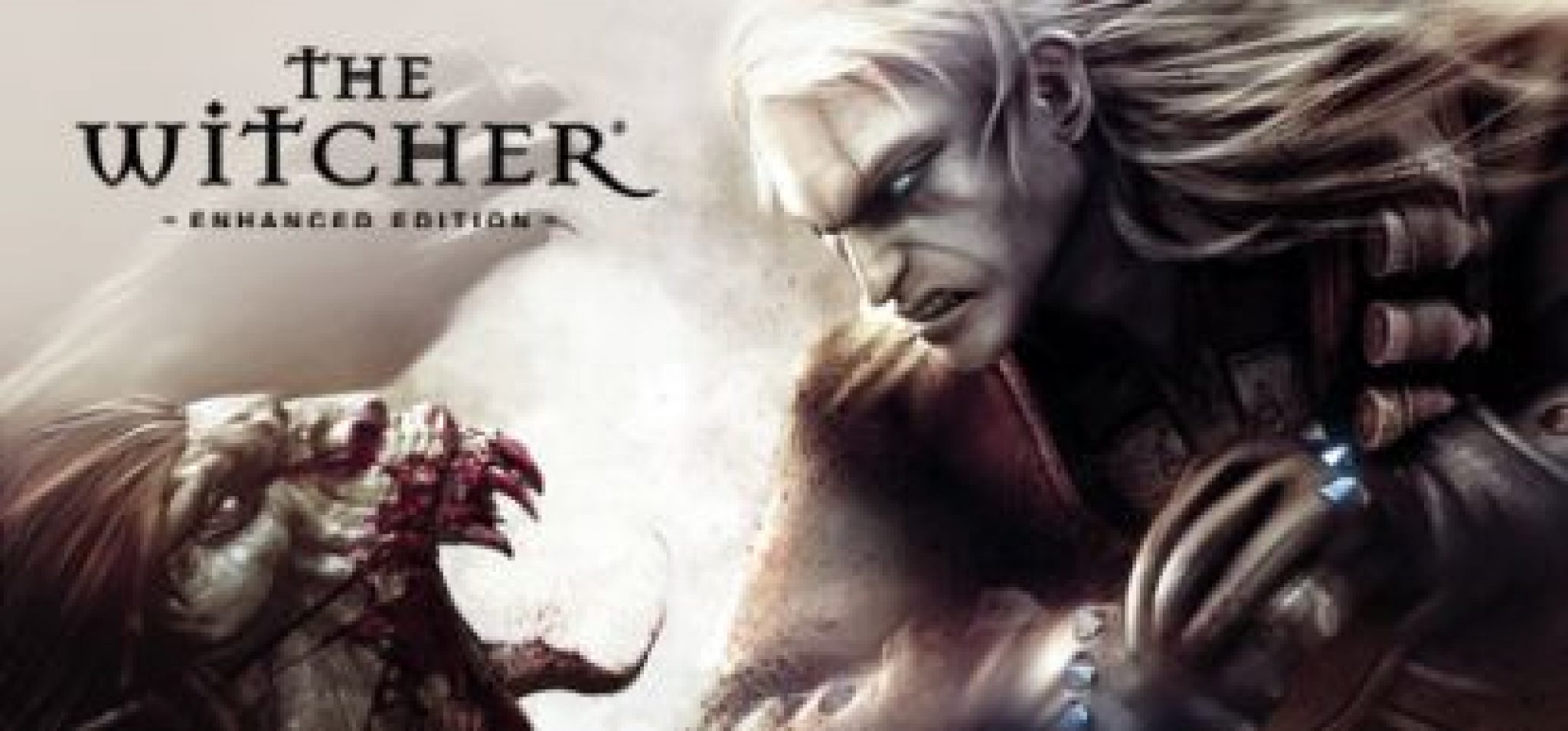 witcher the enhanced edition on pc with xbox wired