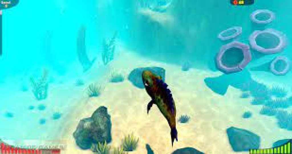 feed and grow fish download pc