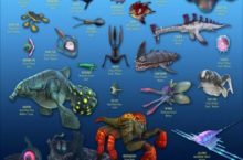 Subnautica Free Download Game for Pc 2025 (v06.07.2024)